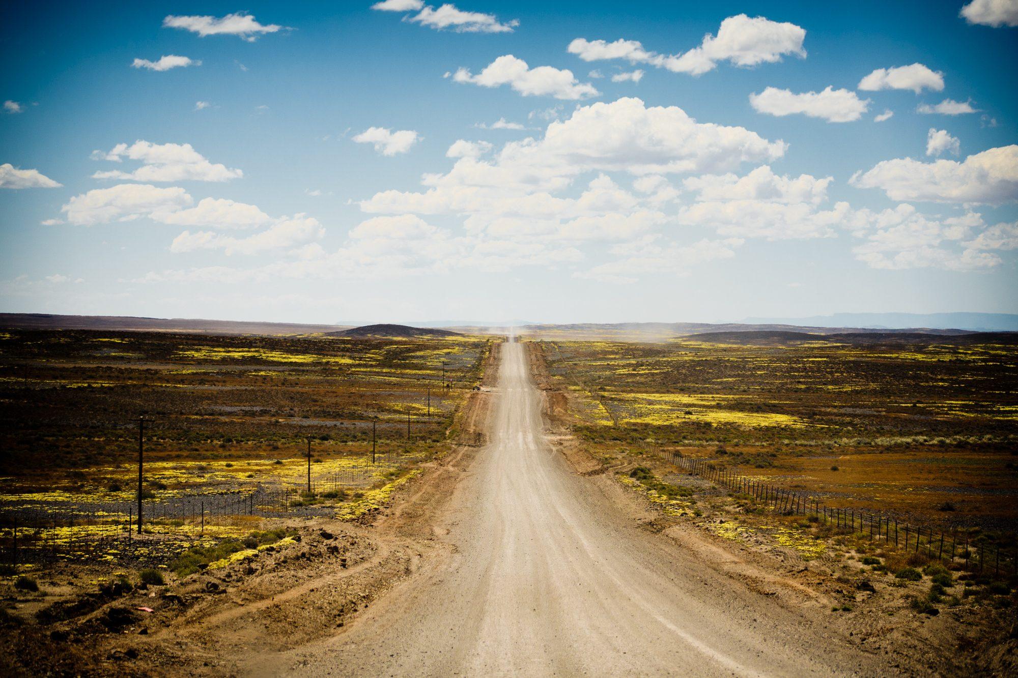 Afrikaburn — photograph 2