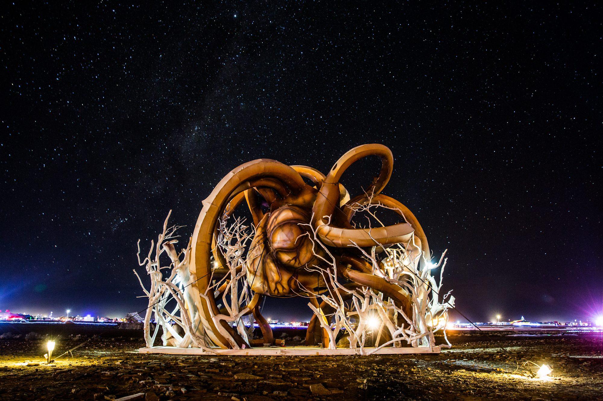 Afrikaburn — photograph 10