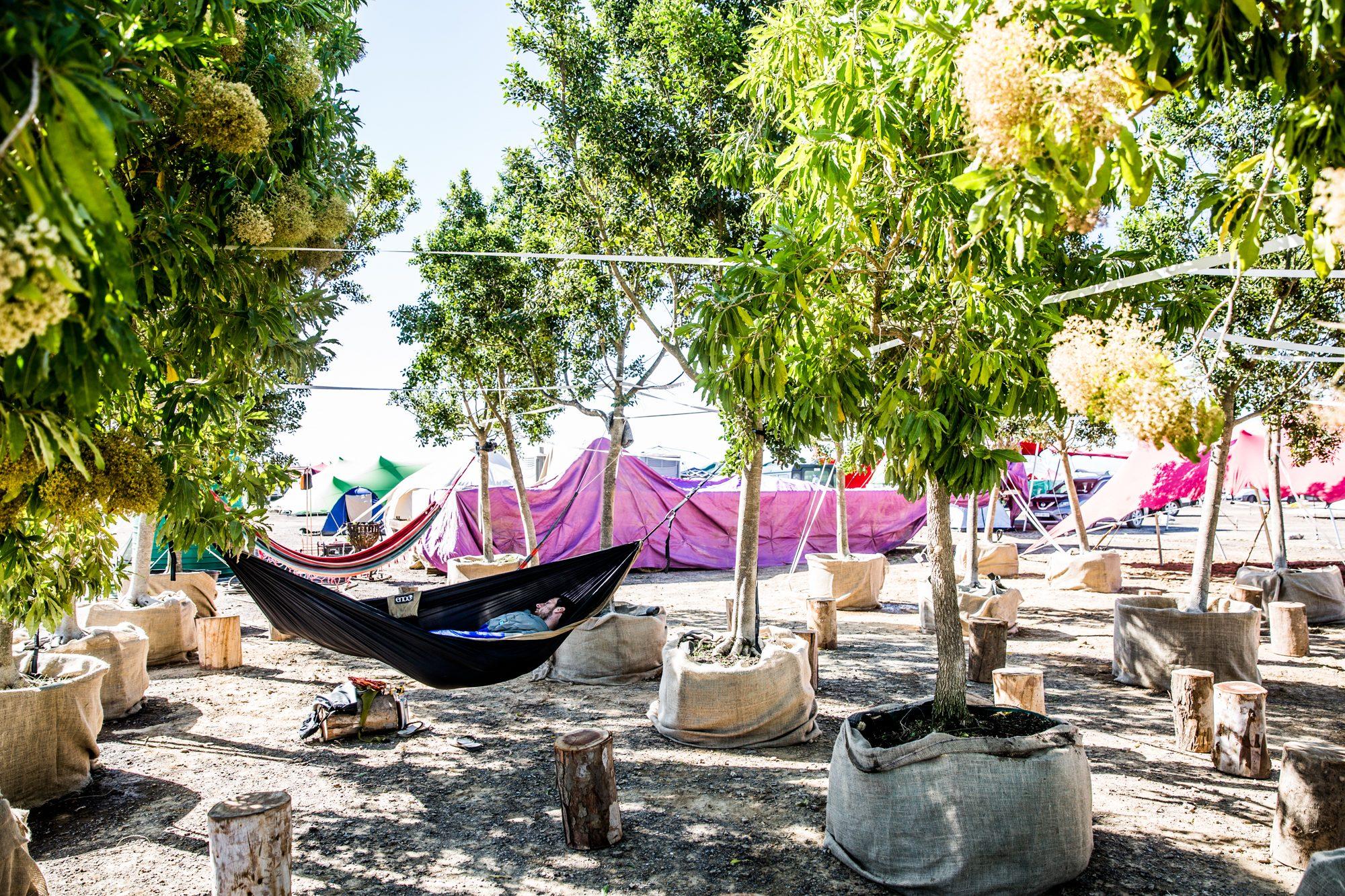 Afrikaburn — photograph 15