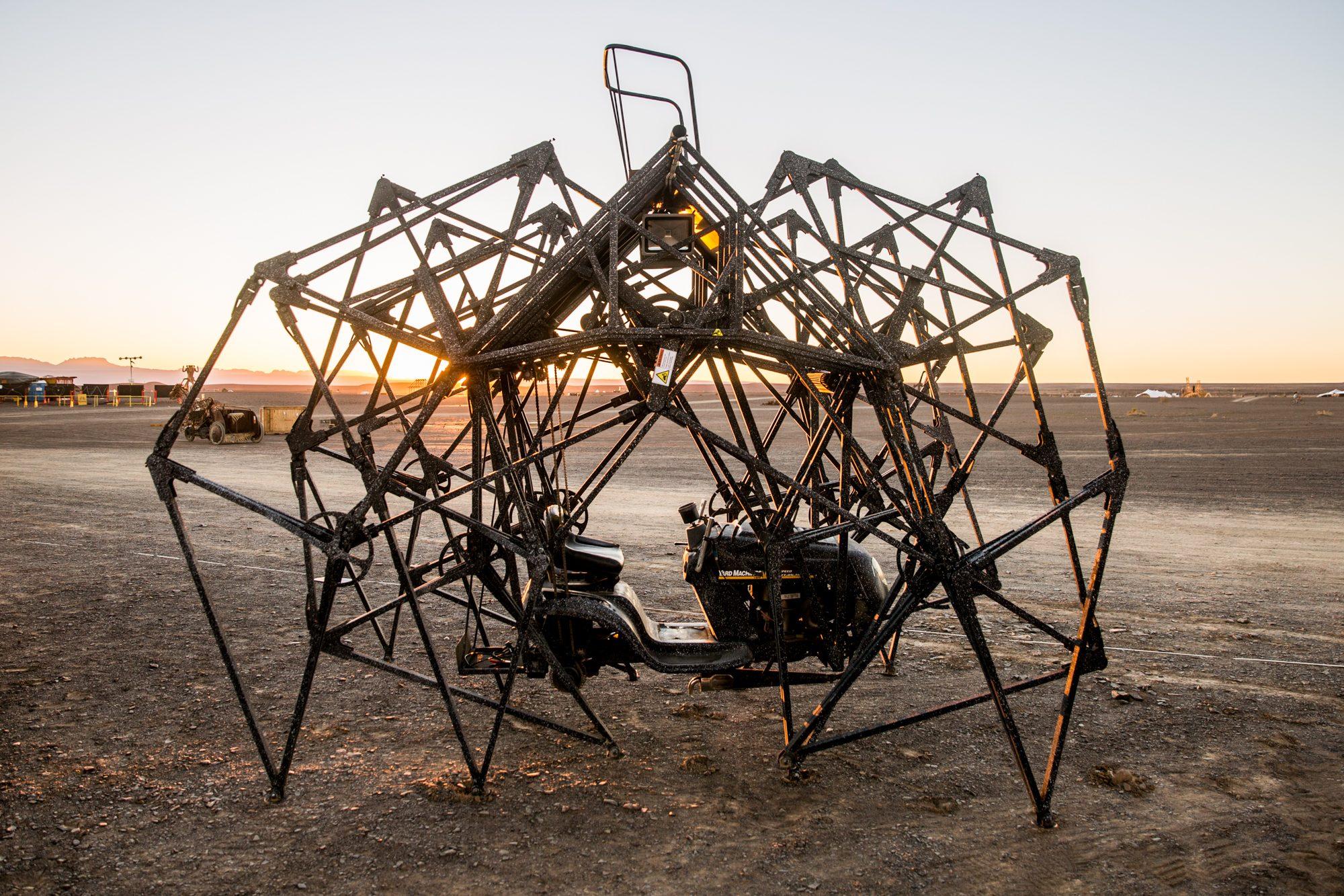Afrikaburn — photograph 21