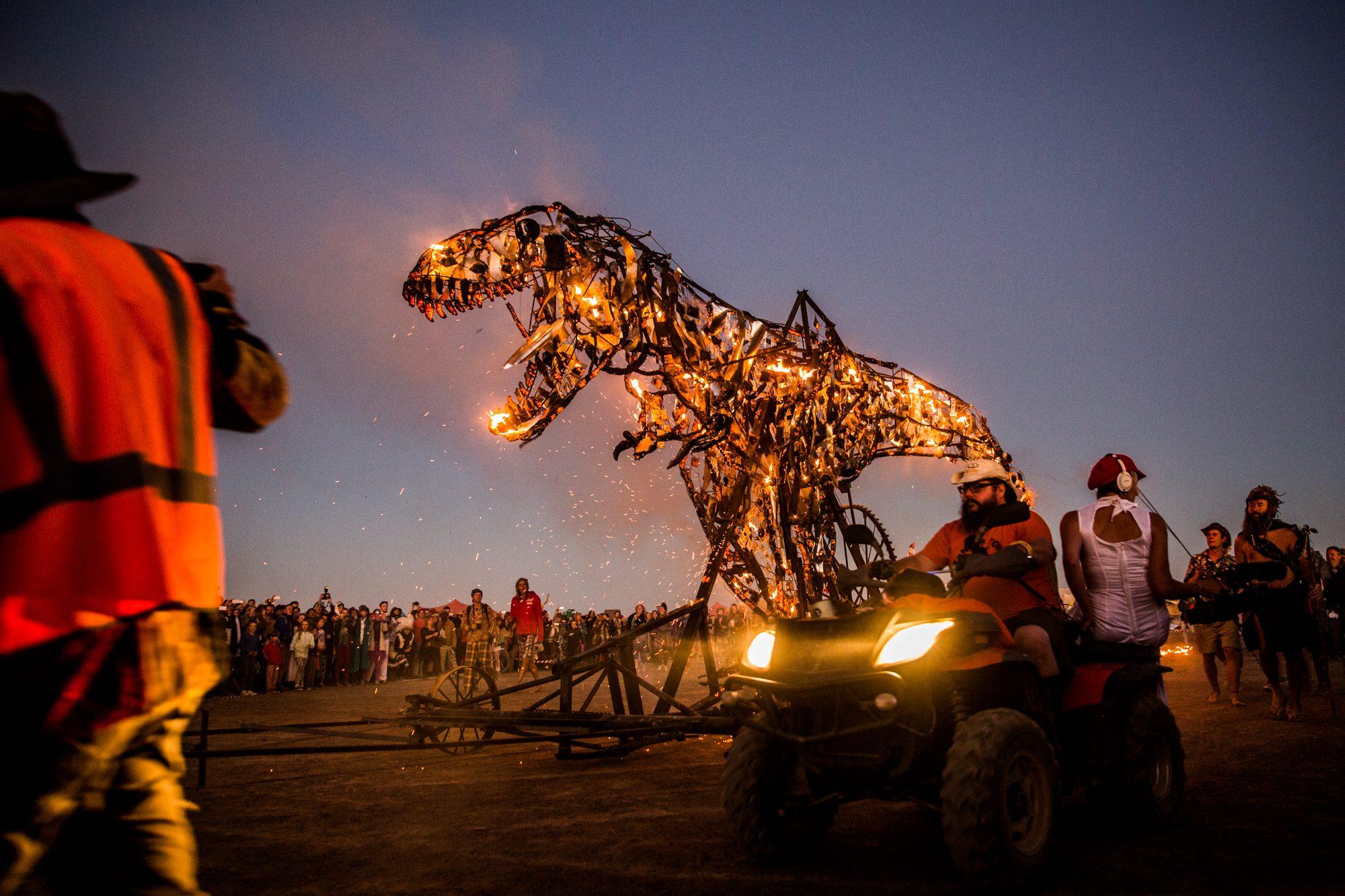 Afrikaburn — photograph 19