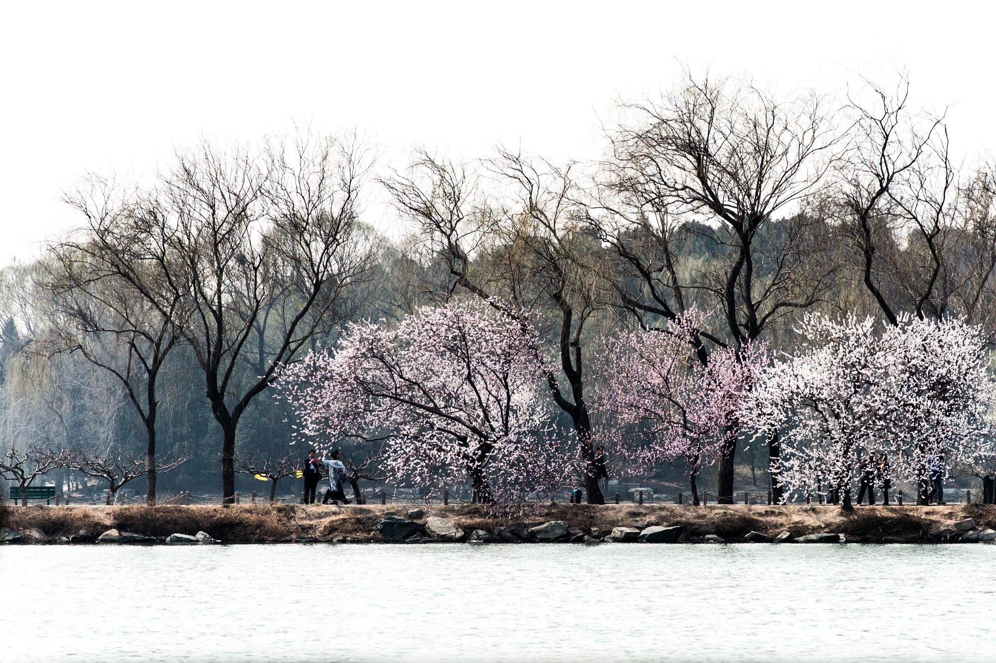 Beijing — photograph 10