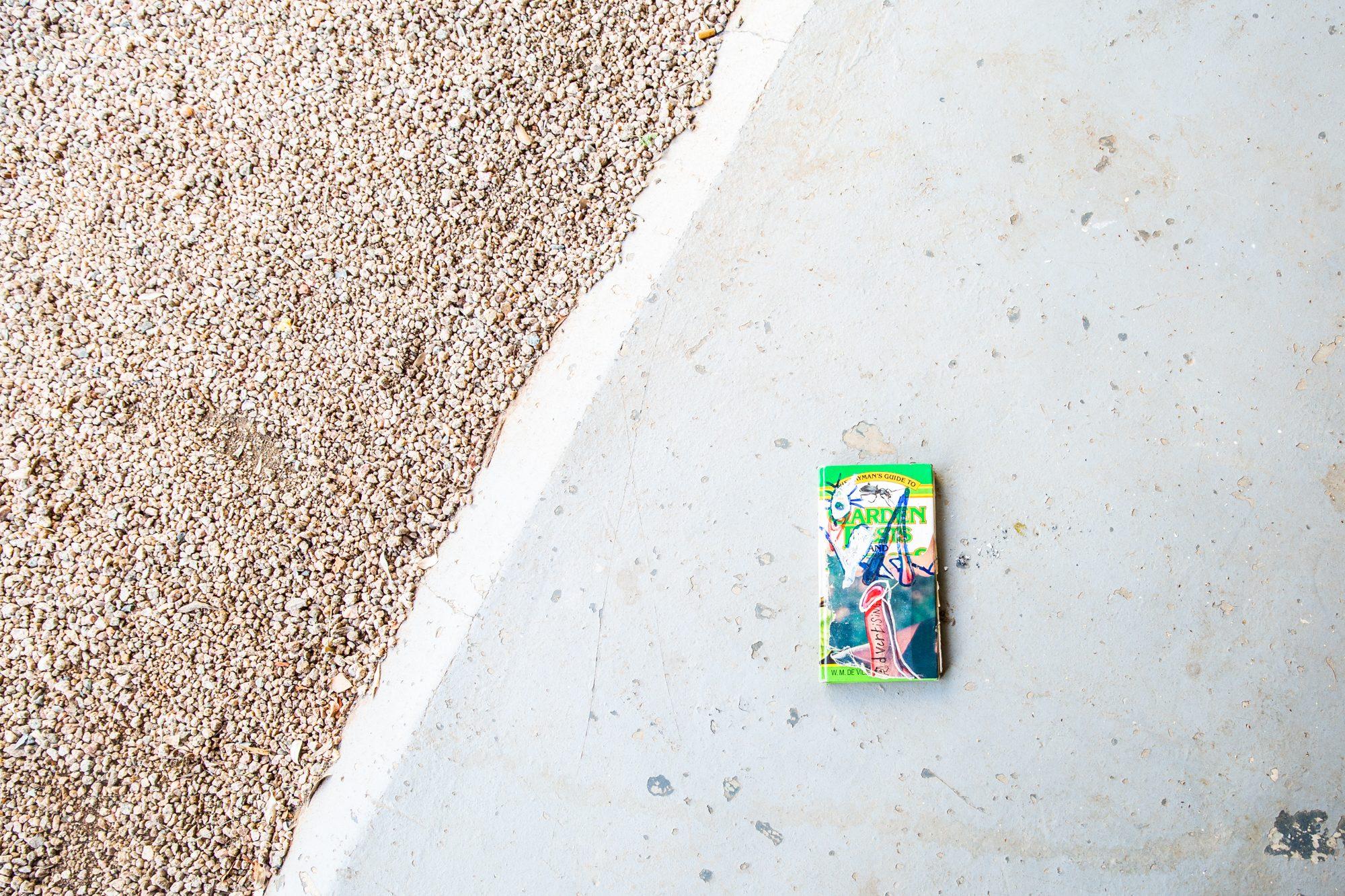 Felix Laband — photograph 6