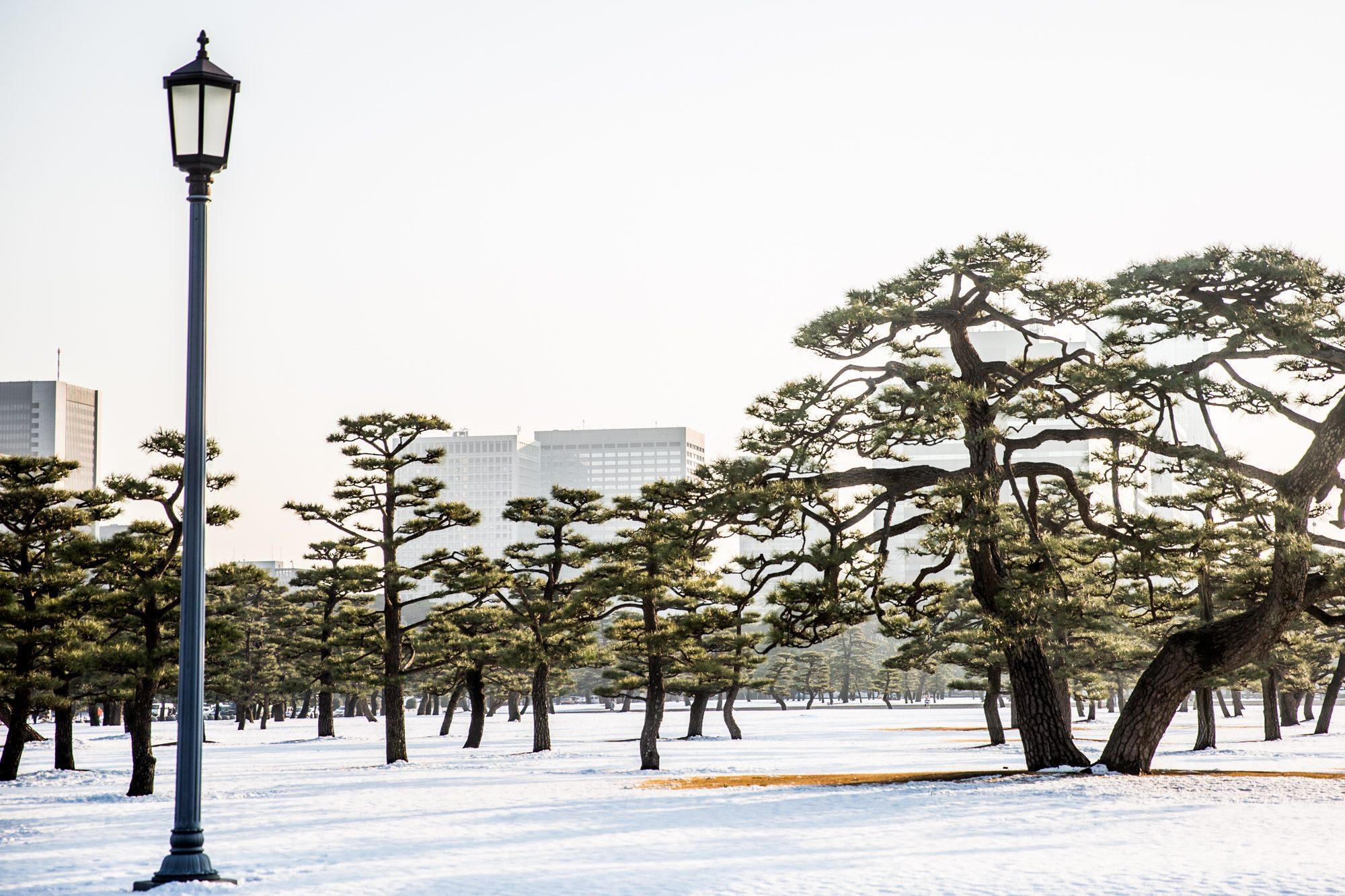 Japan — photograph 13