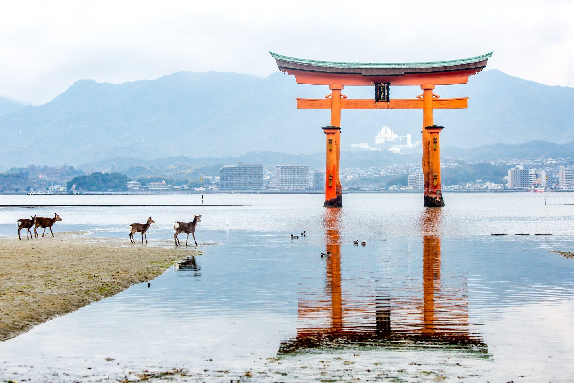 Japan — photograph 7