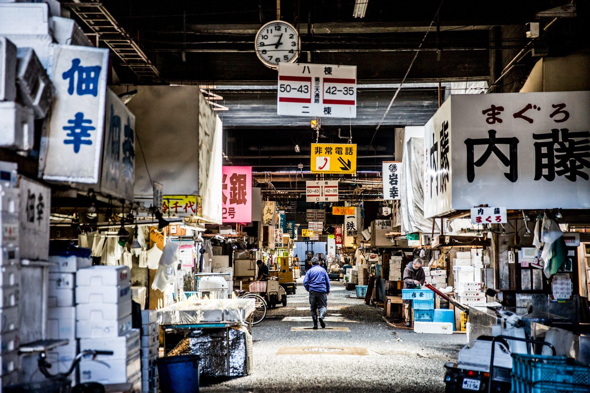 Japan — photograph 8