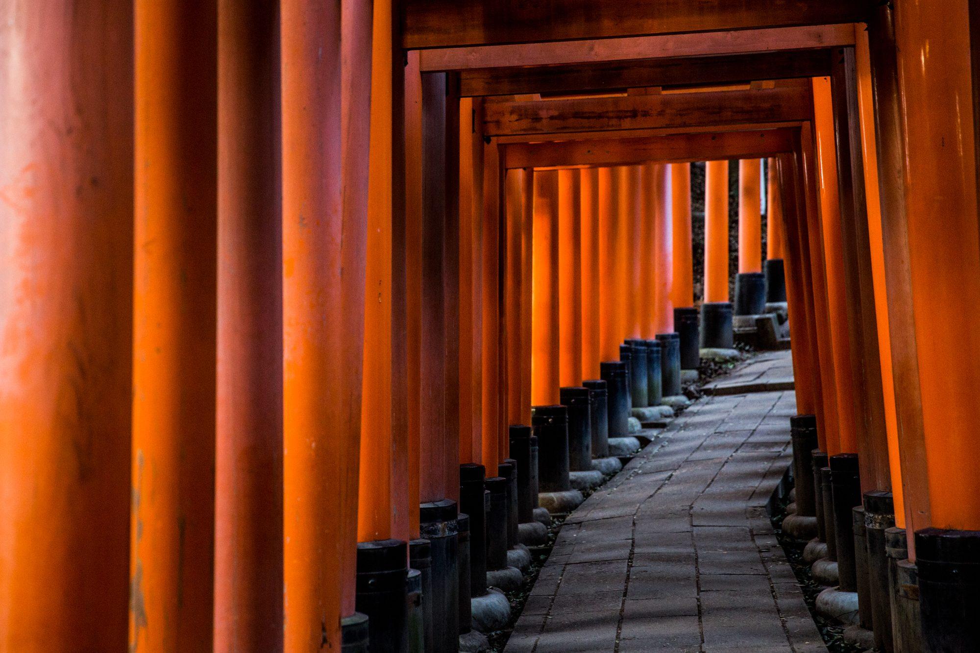 Japan — photograph 11