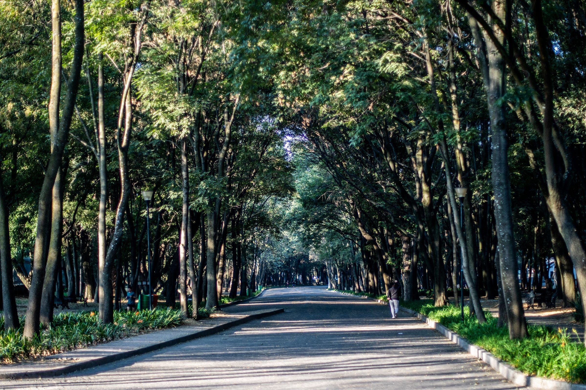 Mexico City — photograph 30