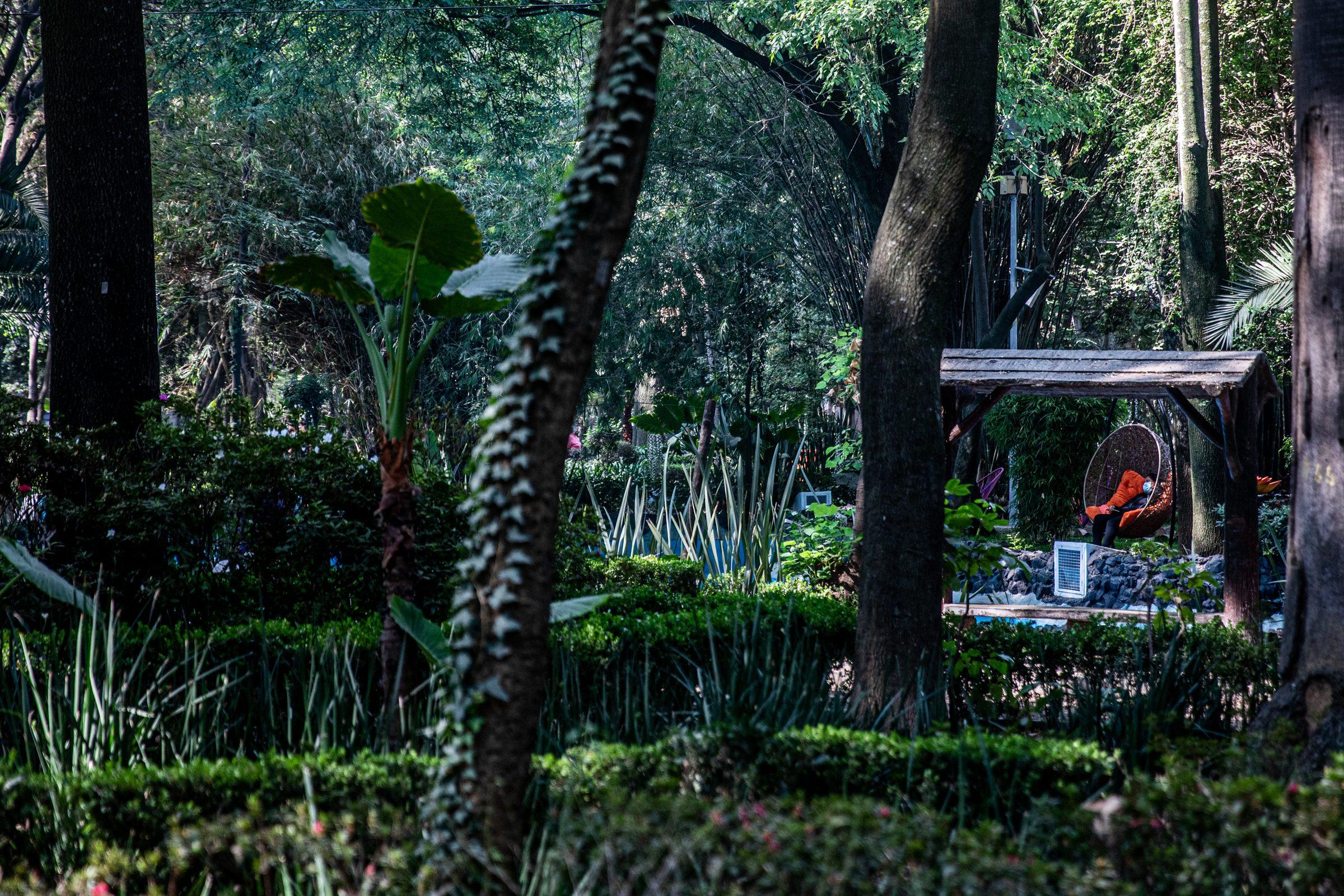 Mexico City — photograph 34