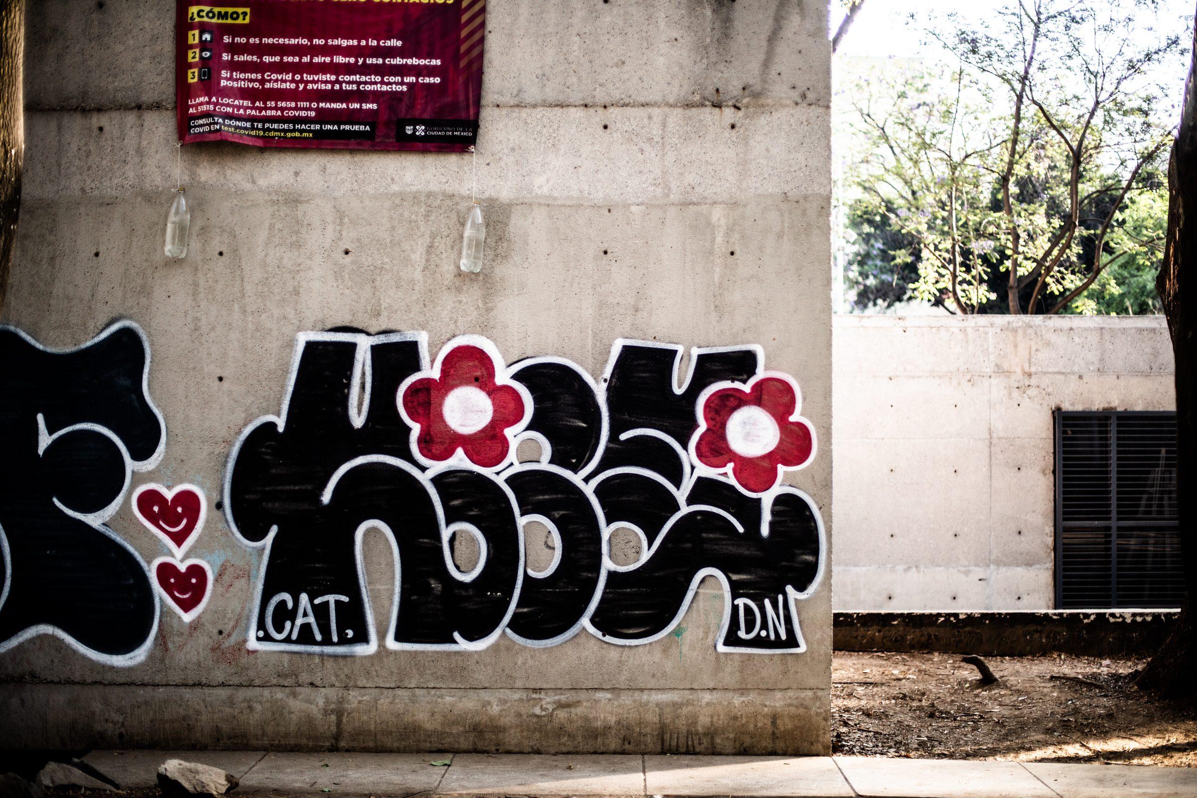 Mexico City — photograph 36
