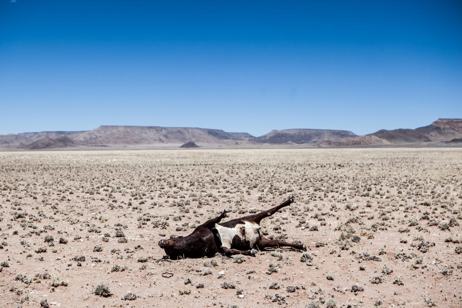 NAMIBIA