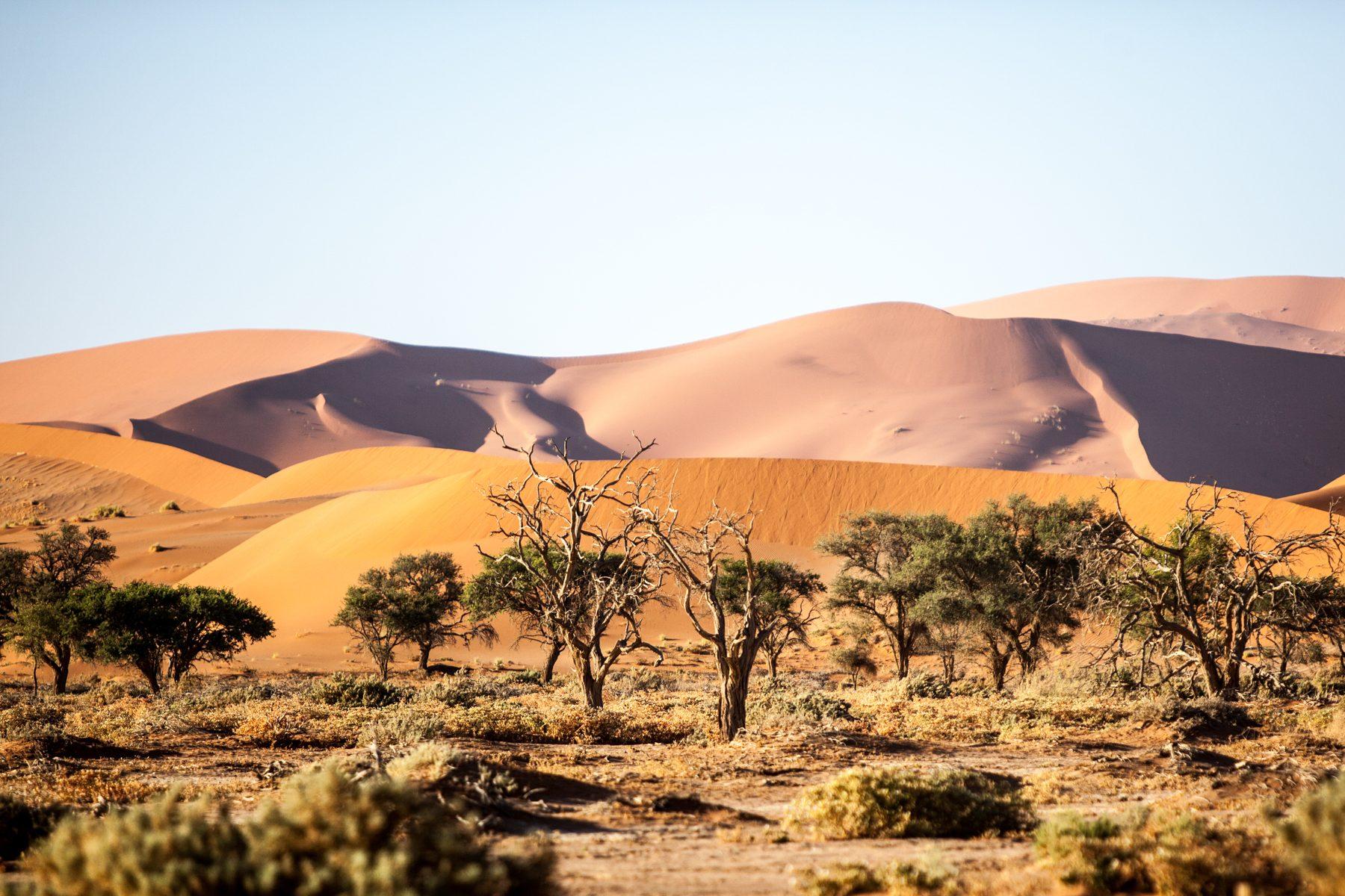 Namibia — photograph 8