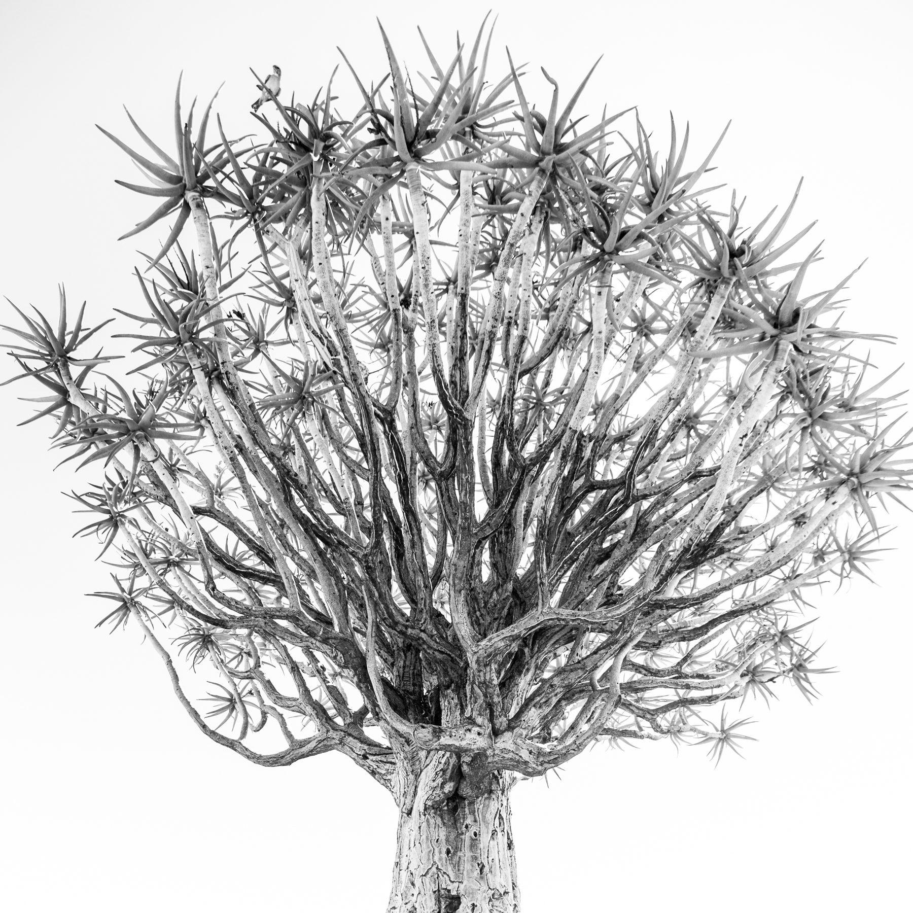 Namibia — photograph 14