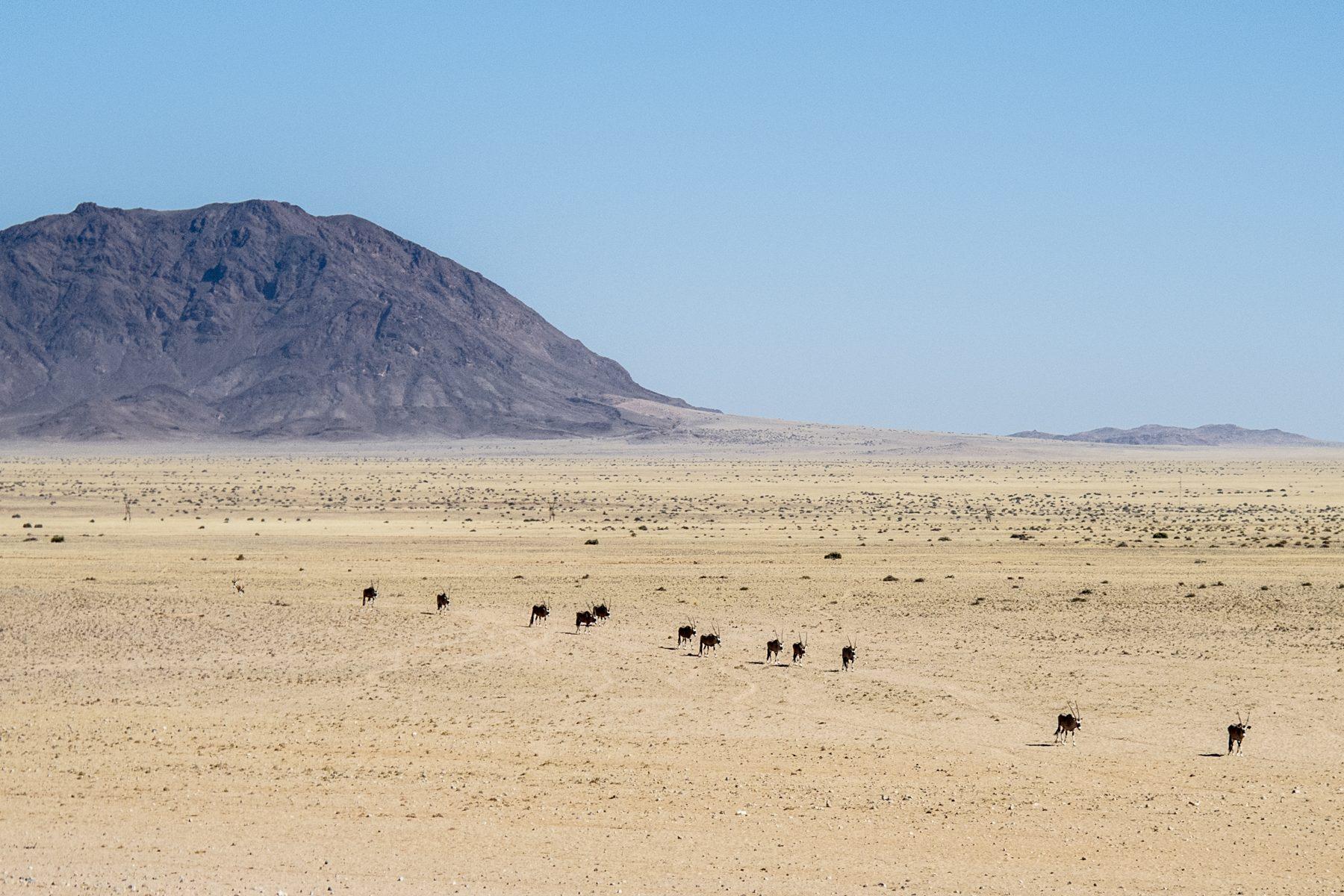 Namibia — photograph 25