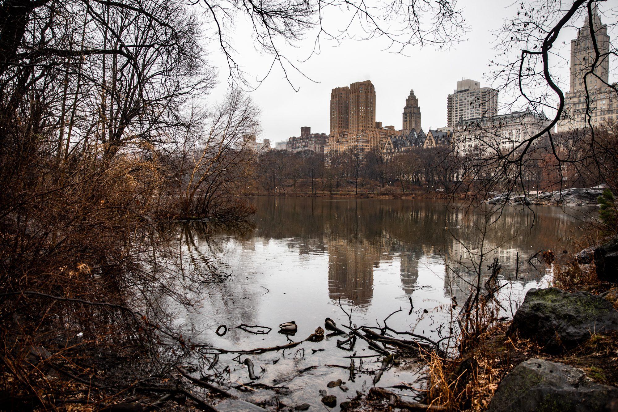 New York — photograph 22