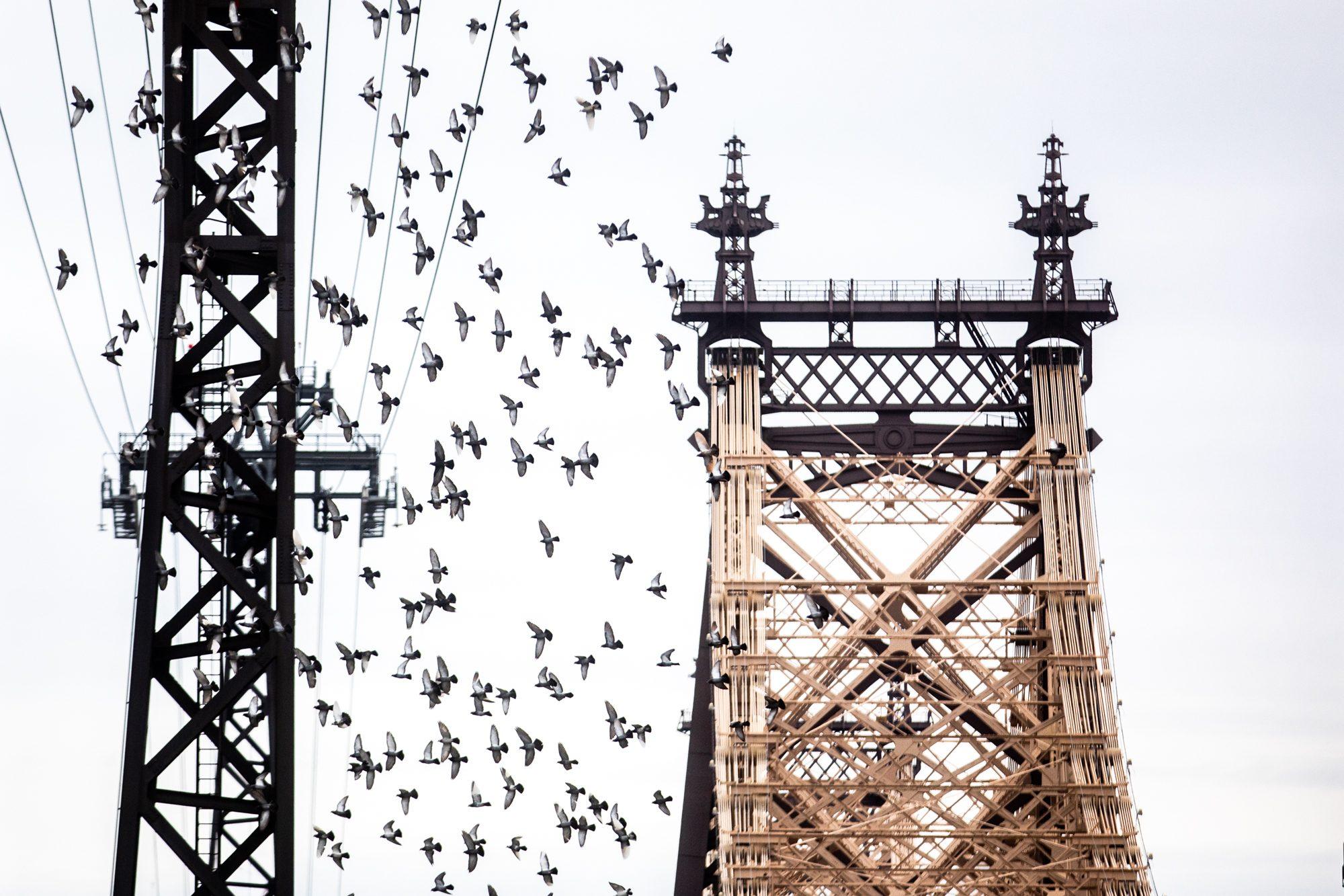 New York — photograph 7