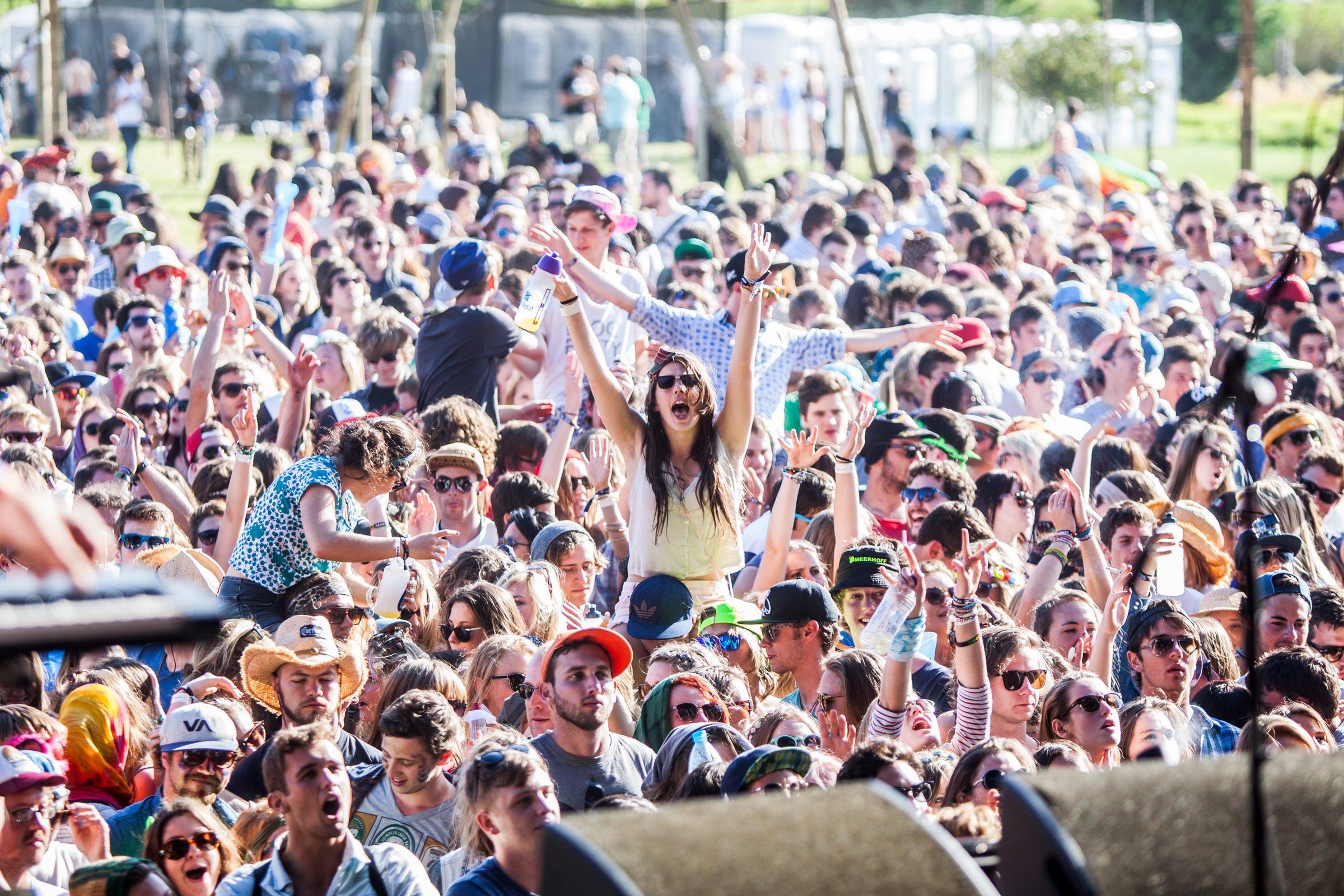 Rocking the Daisies — photograph 10