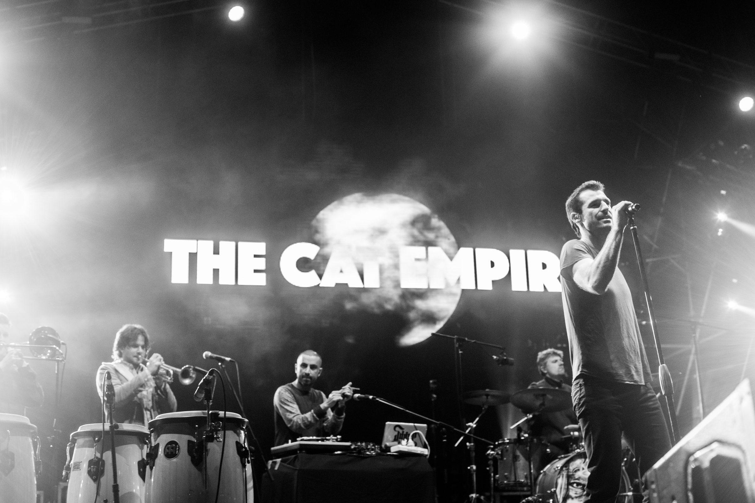 Rocking the Daisies — photograph 18