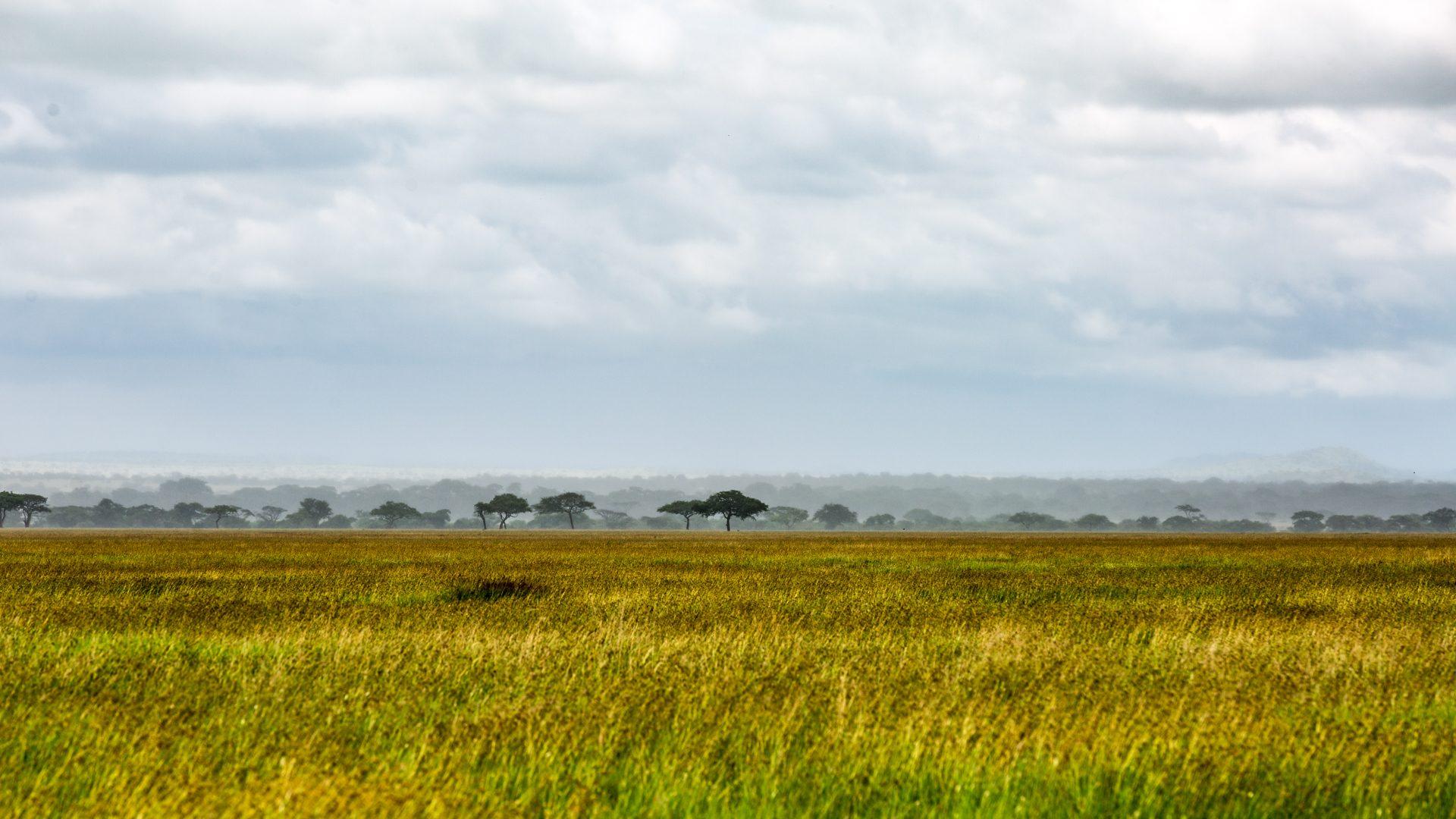 Tanzania — photograph 2