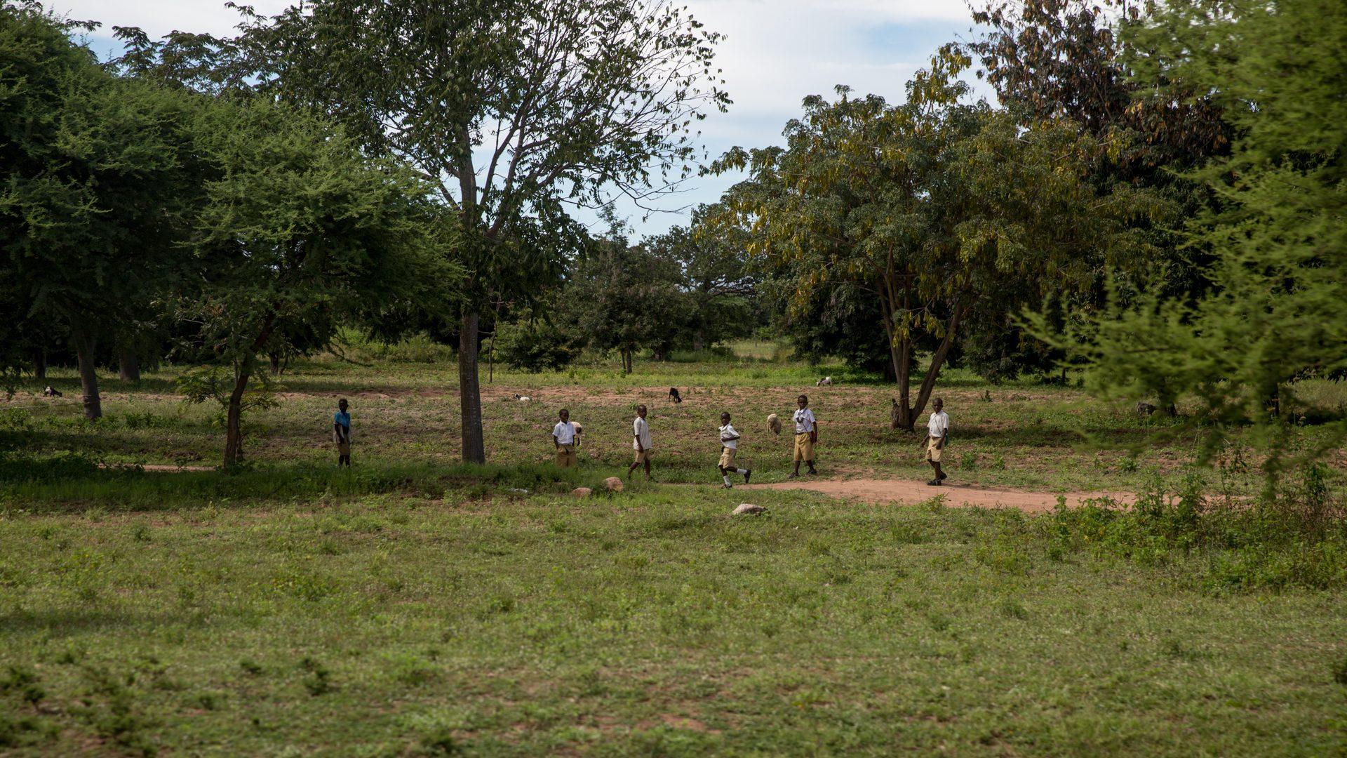 Tanzania — photograph 5