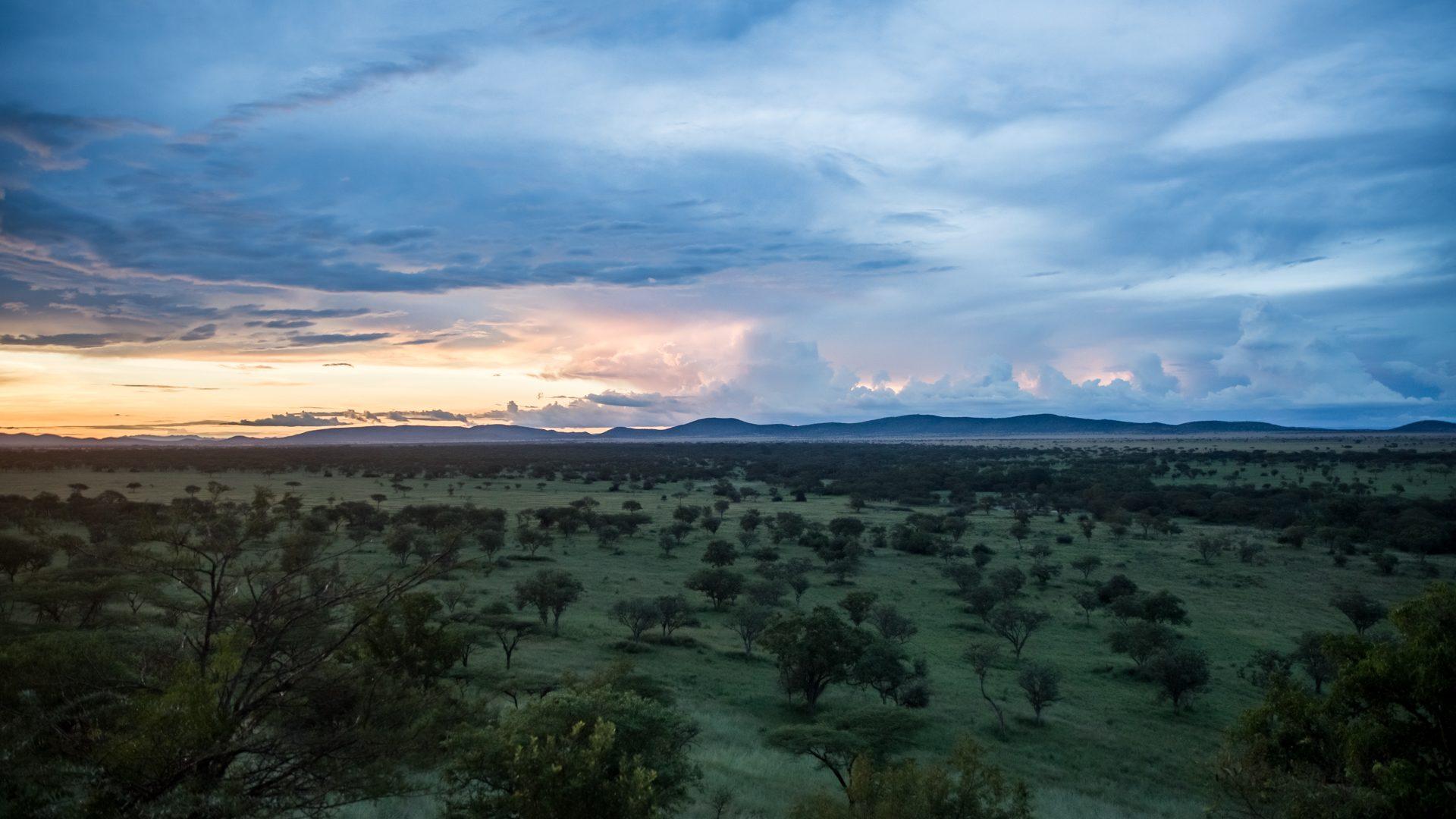 Tanzania — photograph 29