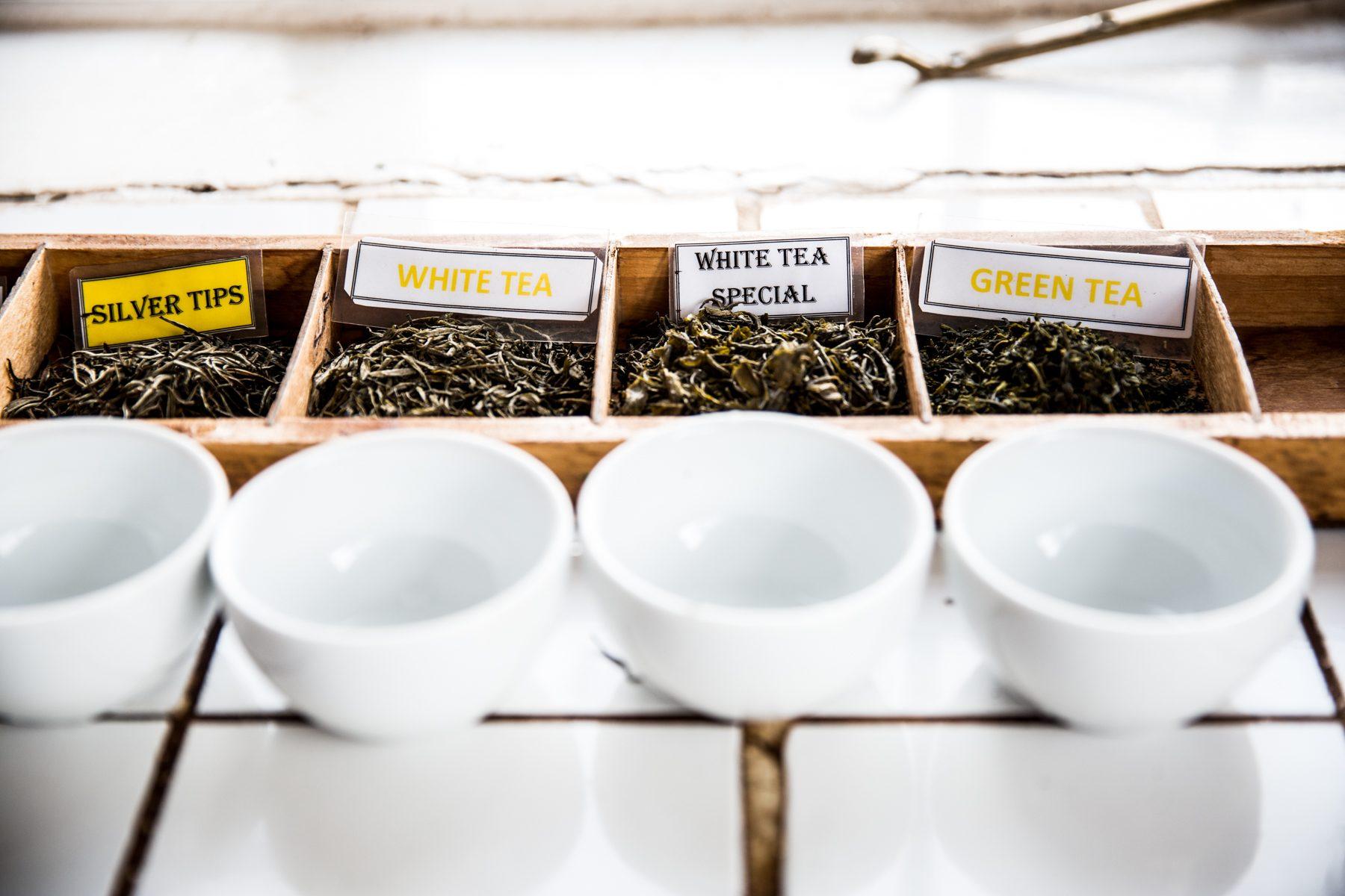 Sorwathe Tea Farm — photograph 13