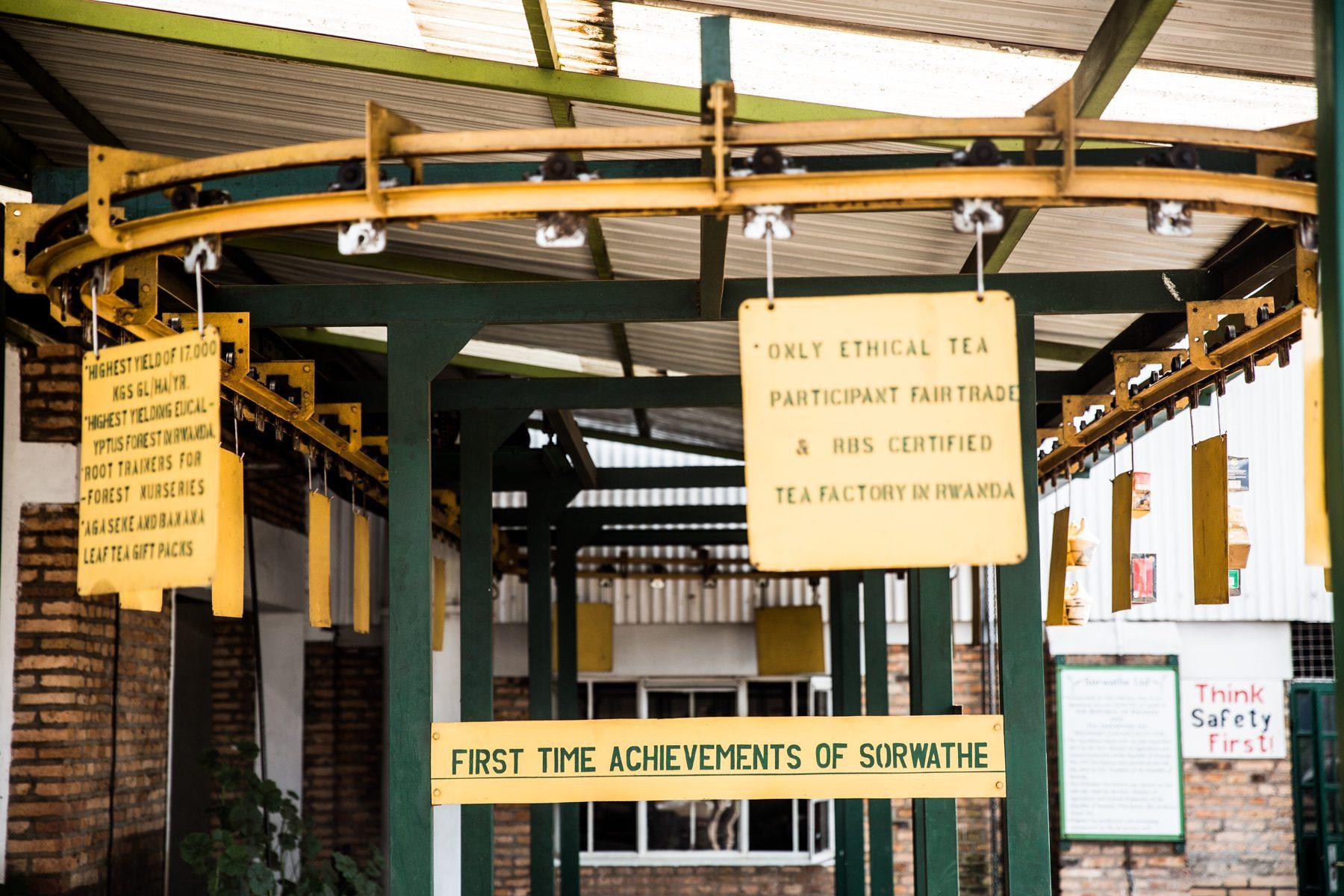 Sorwathe Tea Farm — photograph 15