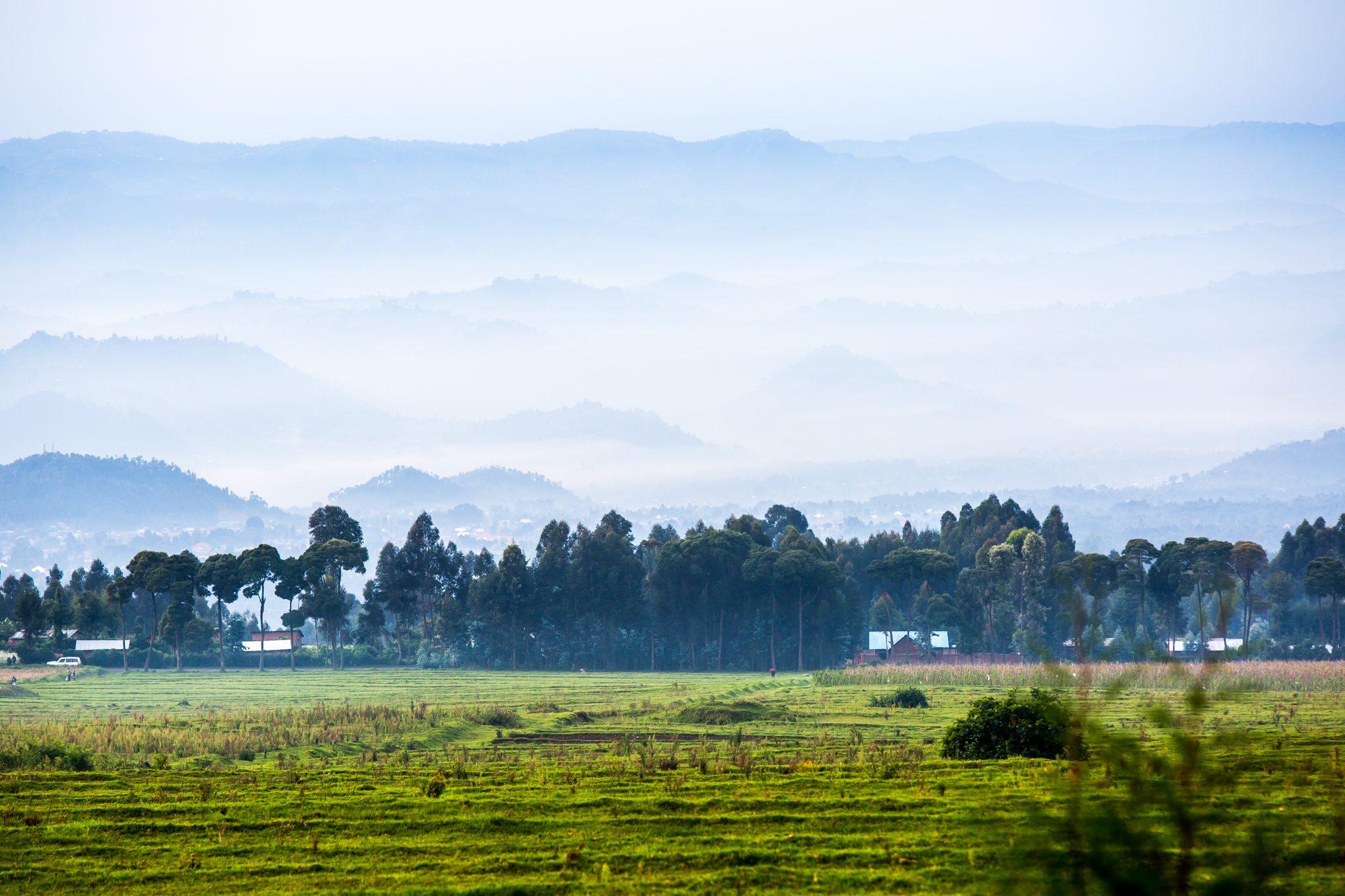 Volcanoes National Park – Rwanda — photograph 2