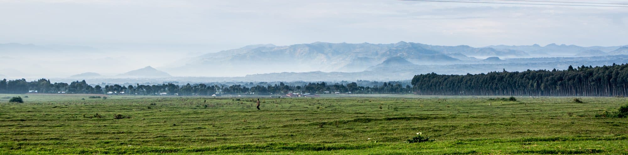 Volcanoes National Park – Rwanda — photograph 3