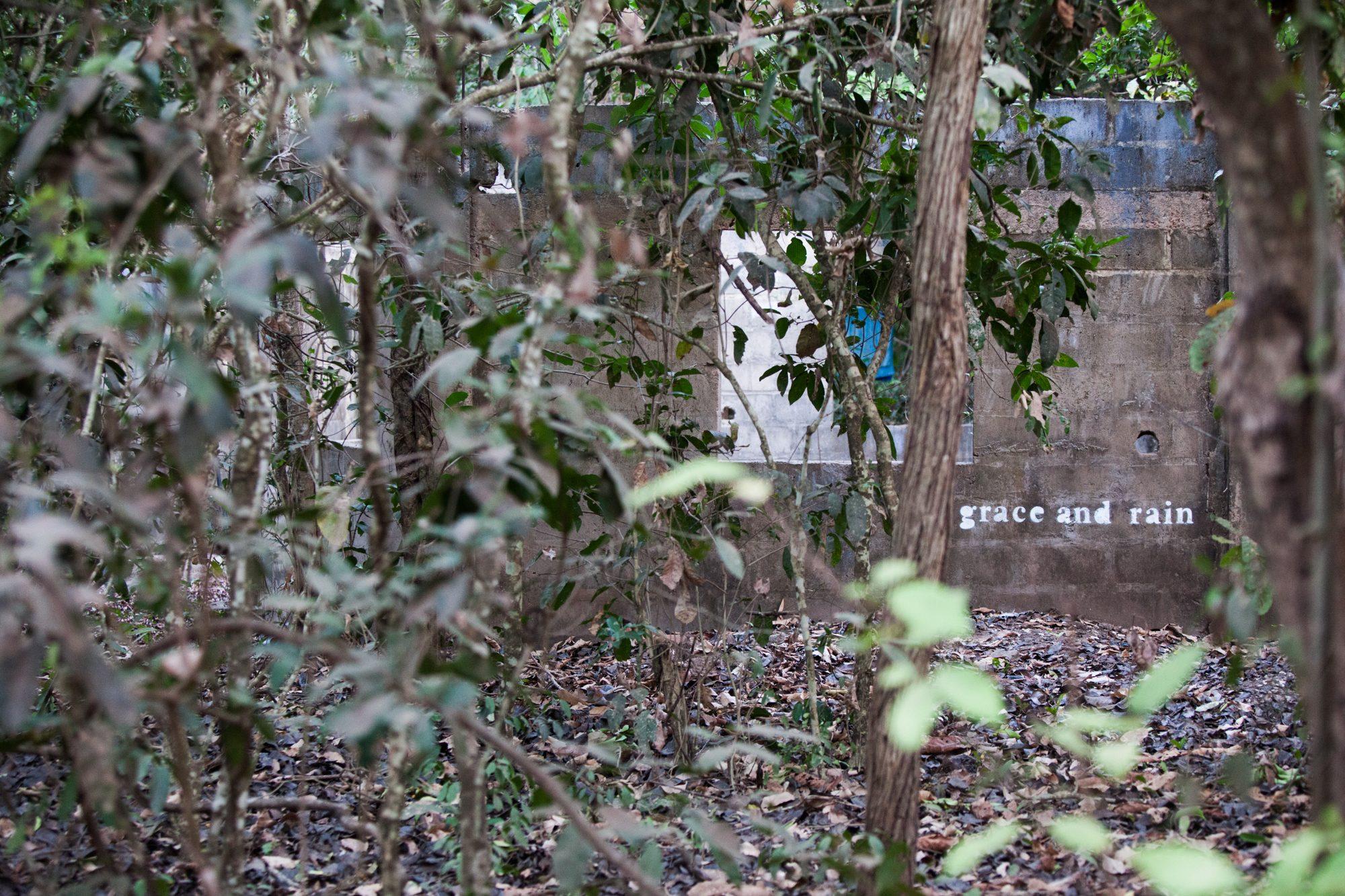 Wide Open Walls — photograph 52