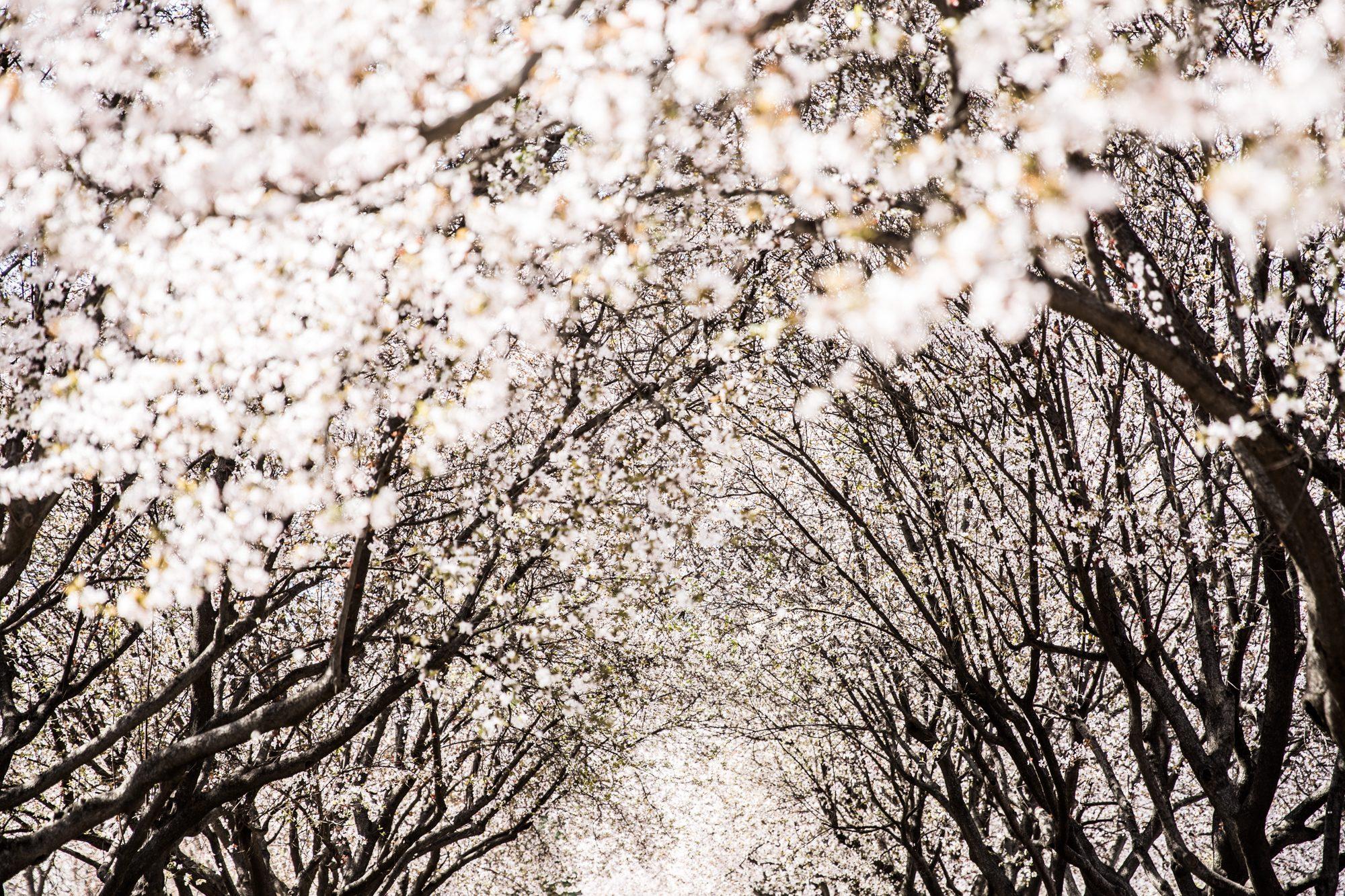 Xi'an — photograph 7